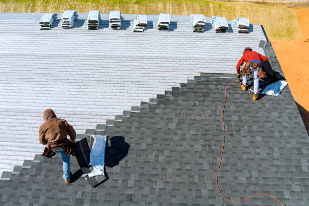 Best Storm Damage Roof Repair  in Harbor Bluffs, FL